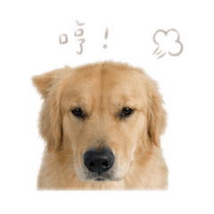 咪咪嚕嚕嚕嚕嚕嚕
