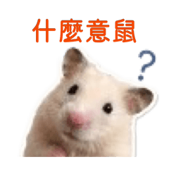 薯泥的日常用語