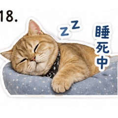 八金的日常