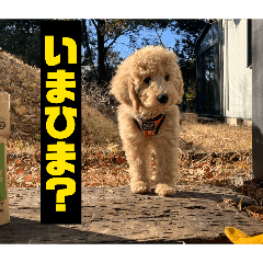 morita_20260501232522