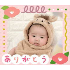 risa_20260501232342