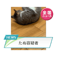 Sakurako_20260503104334