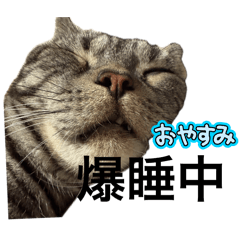 CHIHARU_20260501232351