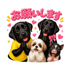kou_20260501223120