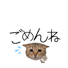 pupupupupu_20260501223335