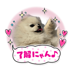 shishimaru_20260429001226