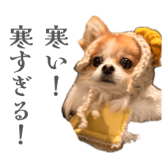 mugidesu_20260501222944