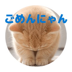 Hirarikurari_20260502000419