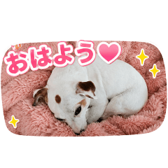 hanako_20260502000235