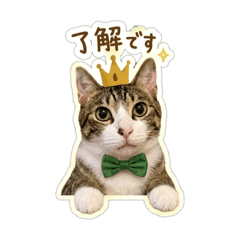 kyoko_20260501235701