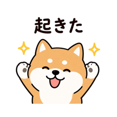 every day  yurushiba