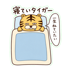 HO_20260502000246