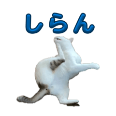 Yuki Sakai_20260429042112
