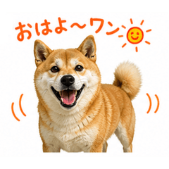 yu-suke_20260502004150