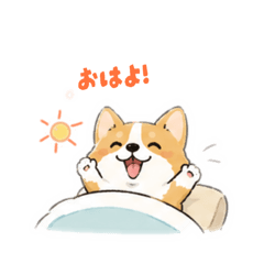 A corgi's word