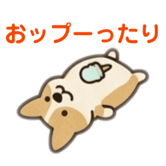 Oppuutari Corgi