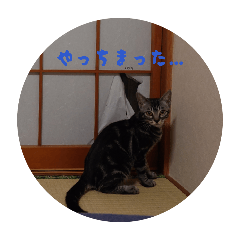 pip_20260502012107