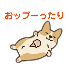 Oppuutari
