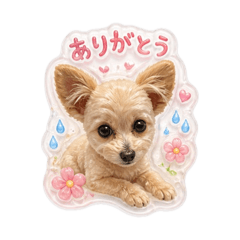 JAPAN_20260503000315