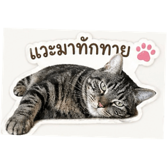 Nai_20260501003152