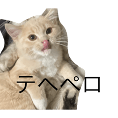 okome_20260501234034