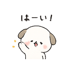kame_syatyo_20260501233705