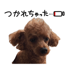 Moco's kainushi_20260501234202