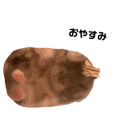 sayapachi_20260501234431
