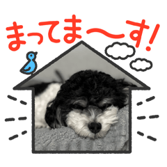 puu_20260501234344