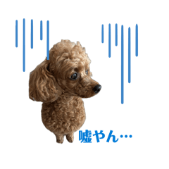 Moco's kainushi_20260501234445