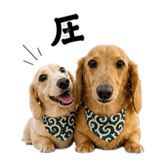 gokuntorenkun