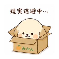 kate_20260502022800