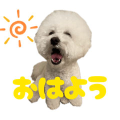 yaaa_20260501233619