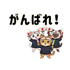 Adorable Kitty - For All Ages2
