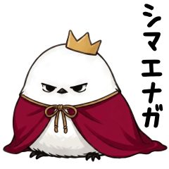 Shimaenaga who is too grumpy