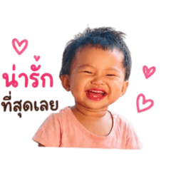 pal_20260501141643