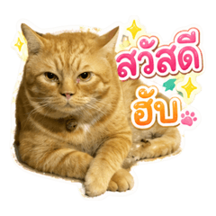 Mz_20260501152744