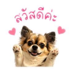 Toto_20260501114323