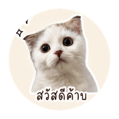 manatsanan Naeobanthat_20260501164247