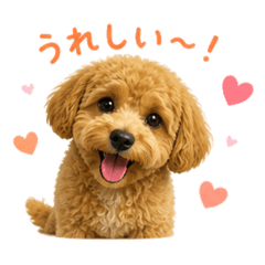 HIRO210162