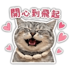 努比喜怒哀樂慵懶吃貨篇