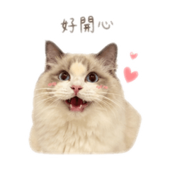 Kappu咖噗噗