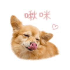 我愛ㄚ嚕
