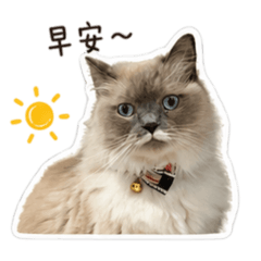 阿肥肥日常～