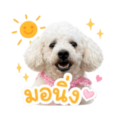 apple_20260501200102