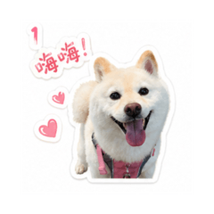 黃奶茶的貼圖
