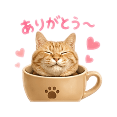 kumakuma_20260502055704