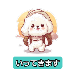 pom_20260502065824