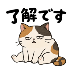 YOSHIYA_20260502070906
