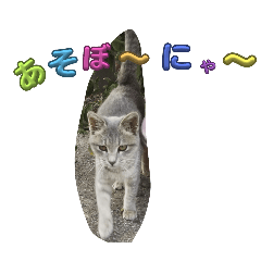ayane_20260502070728